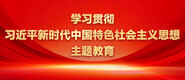 求操骚逼视频学习贯彻习近平新时代中国特色社会主义思想主题教育_fororder_ad-371X160(2)